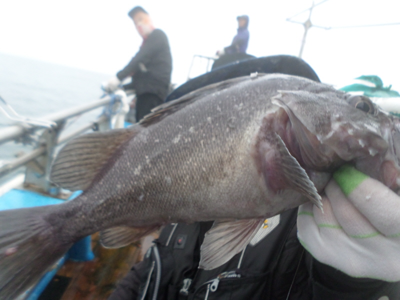 레인져호 조황갤러리입니다.
