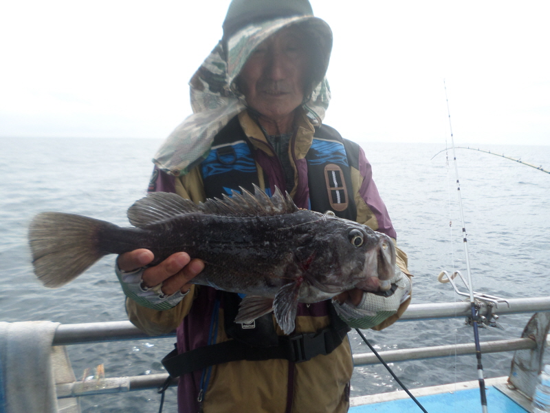 레인져호 조황갤러리입니다.