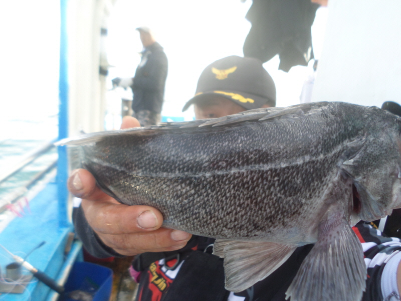 레인져호 조황갤러리입니다.