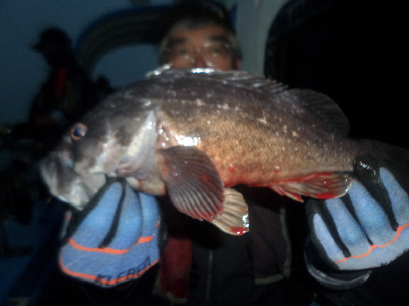 레인져호 조황갤러리입니다.