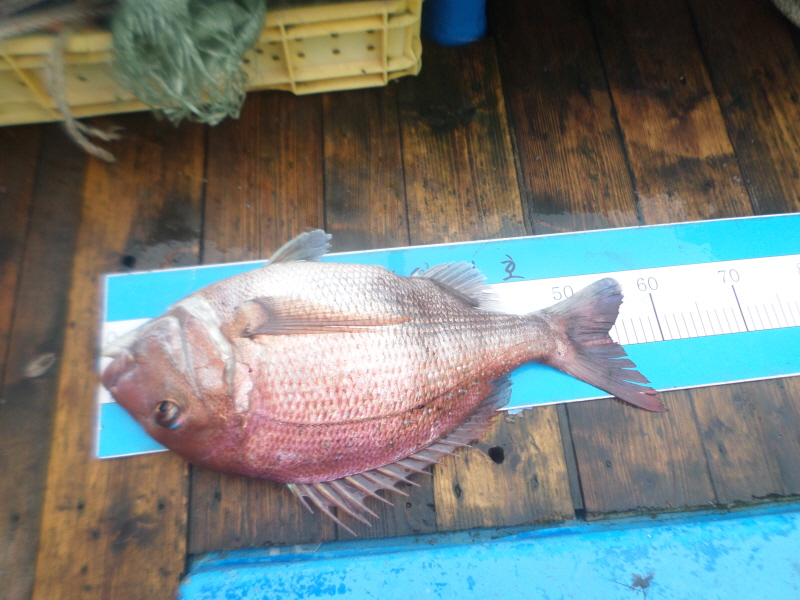 레인져호 조황갤러리입니다.