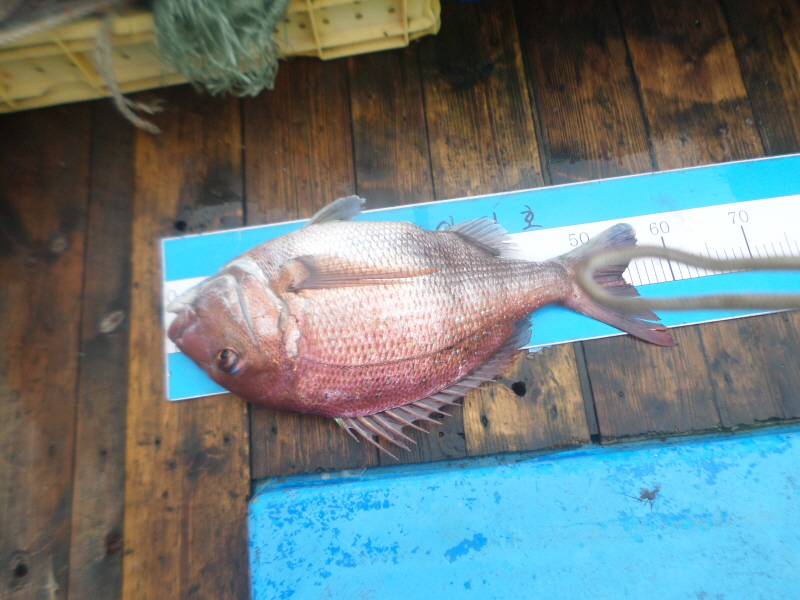 레인져호 조황갤러리입니다.