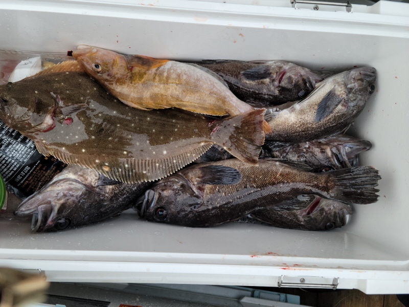 레인져호 조황갤러리입니다.