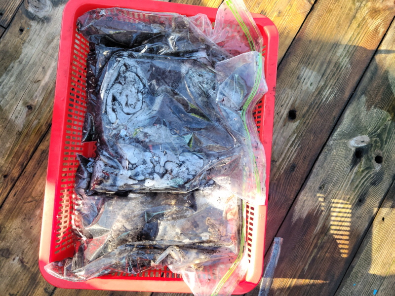 레인져호 조황갤러리입니다.