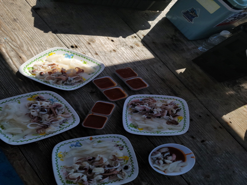 레인져호 조황갤러리입니다.