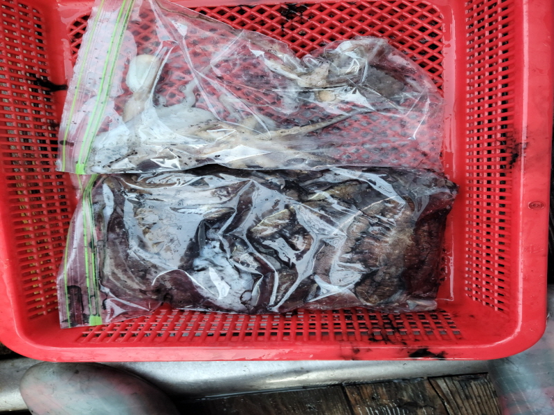 레인져호 조황갤러리입니다.