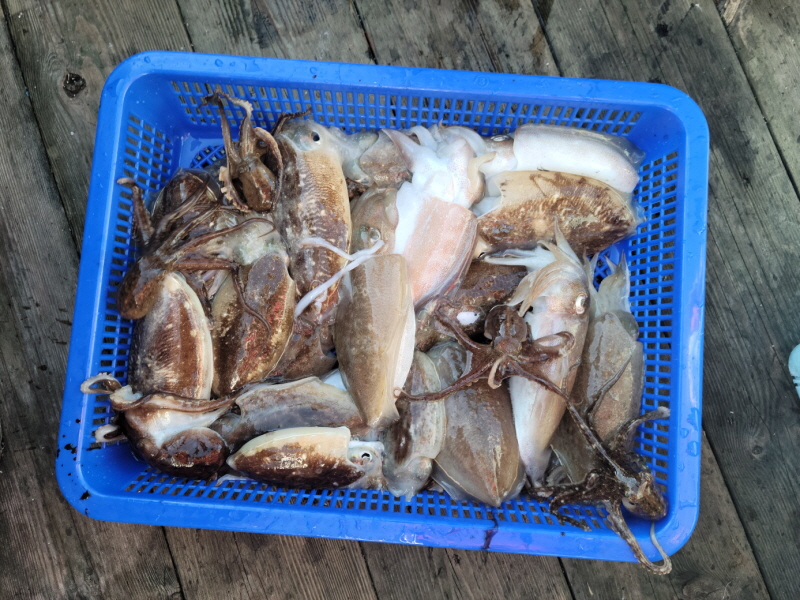 레인져호 조황갤러리입니다.