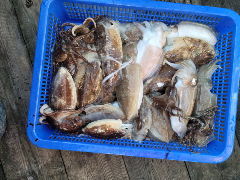 레인져호 조황갤러리입니다.