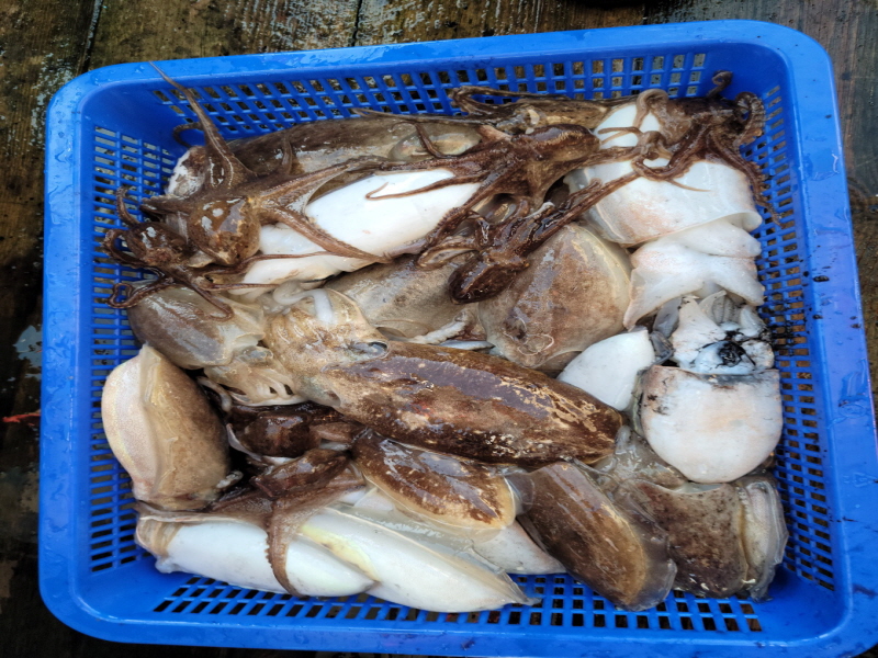 레인져호 조황갤러리입니다.