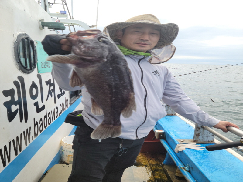 레인져호 조황갤러리입니다.