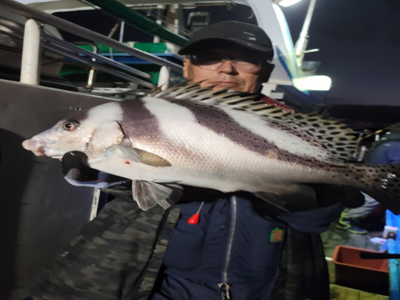 레인져호 조황갤러리입니다.