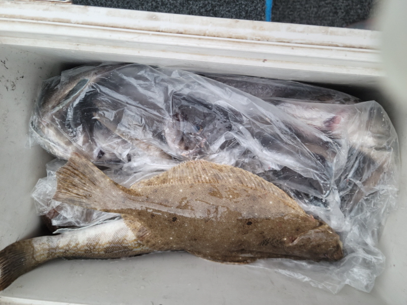 레인져호 조황갤러리입니다.