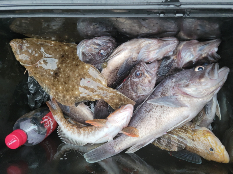 레인져호 조황갤러리입니다.