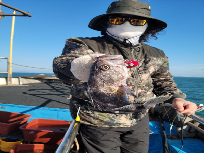 레인져호 조황갤러리입니다.