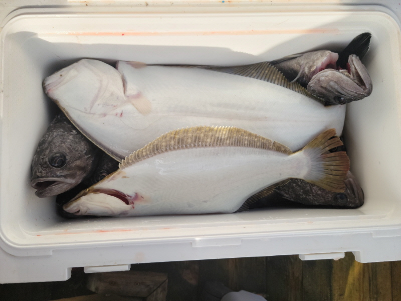 레인져호 조황갤러리입니다.