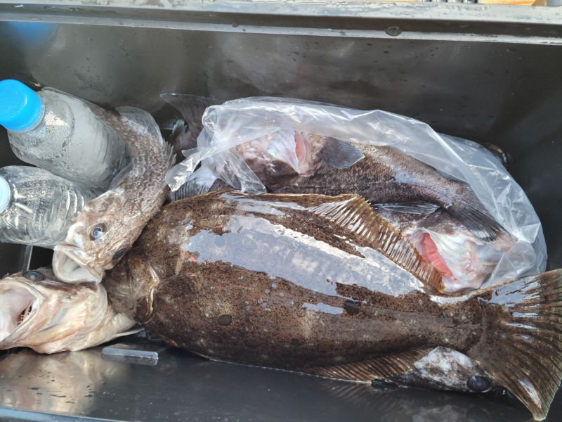 레인져호 조황갤러리입니다.