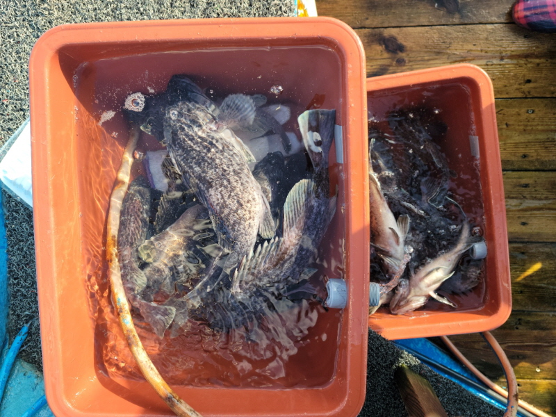 레인져호 조황갤러리입니다.