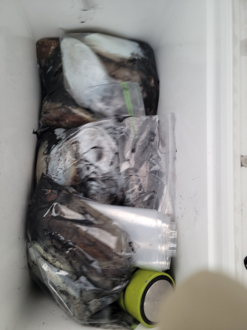 레인져호 조황갤러리입니다.