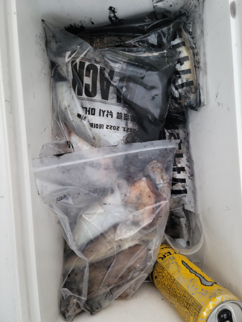 레인져호 조황갤러리입니다.