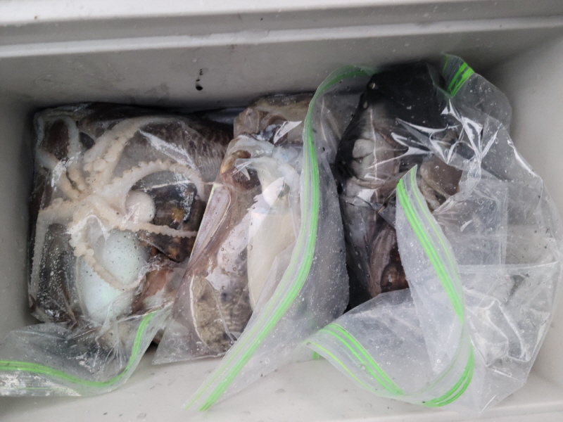 레인져호 조황갤러리입니다.