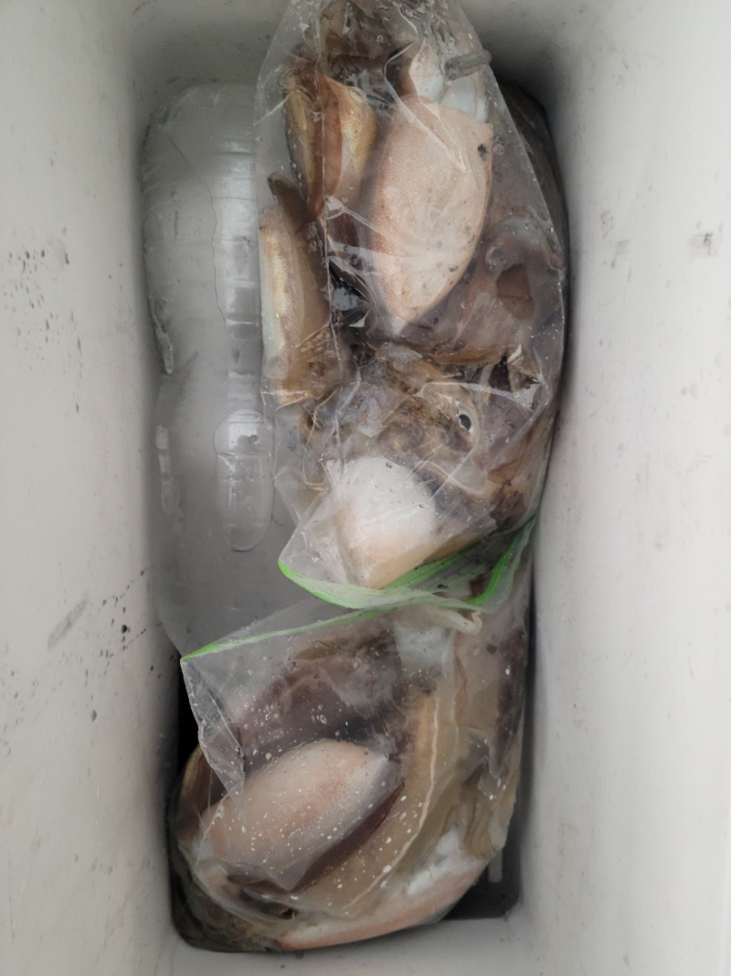 레인져호 조황갤러리입니다.