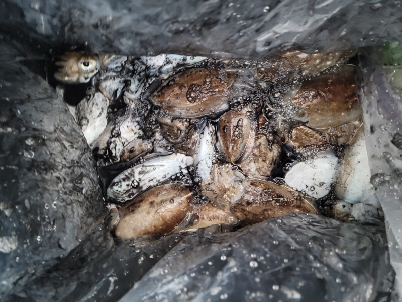 레인져호 조황갤러리입니다.