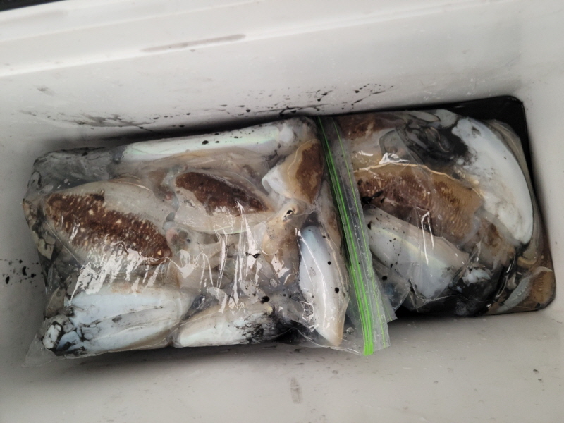 레인져호 조황갤러리입니다.