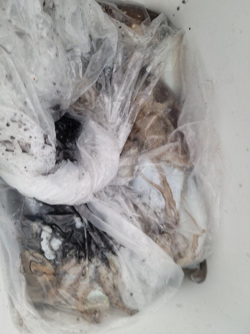 레인져호 조황갤러리입니다.