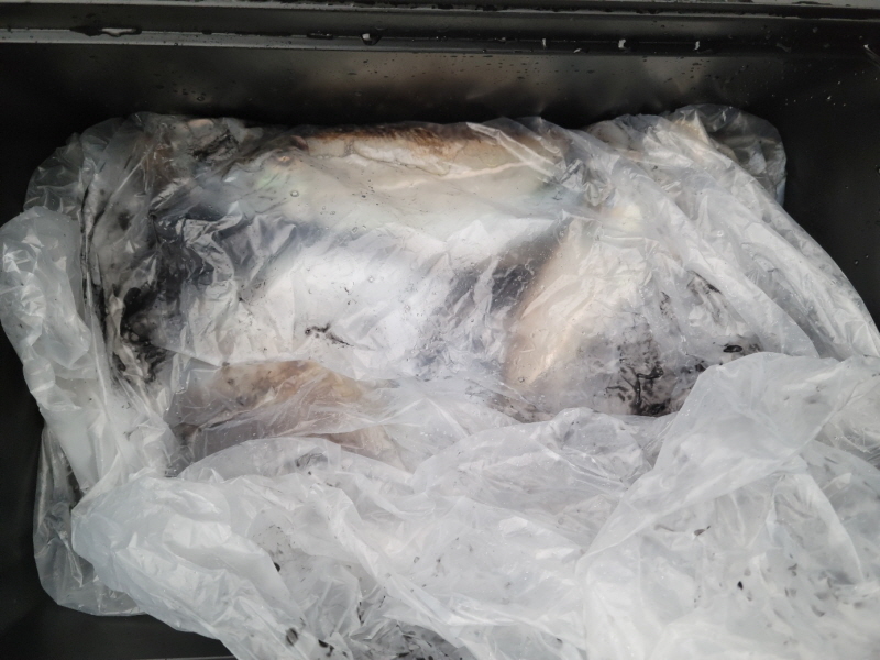 레인져호 조황갤러리입니다.