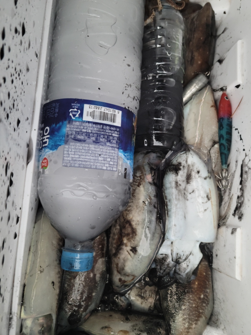 레인져호 조황갤러리입니다.