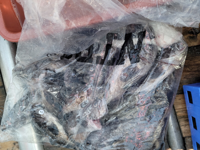 레인져호 조황갤러리입니다.