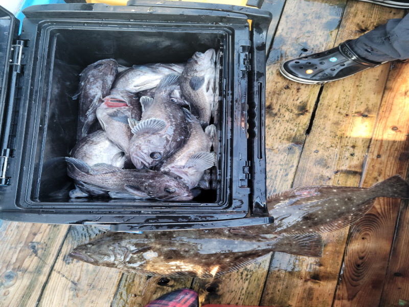 레인져호 조황갤러리입니다.