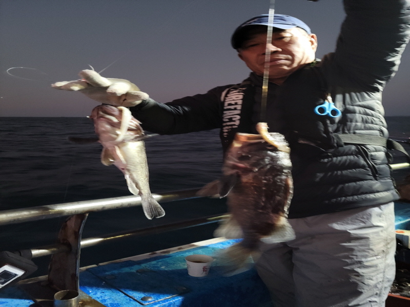 레인져호 조황갤러리입니다.