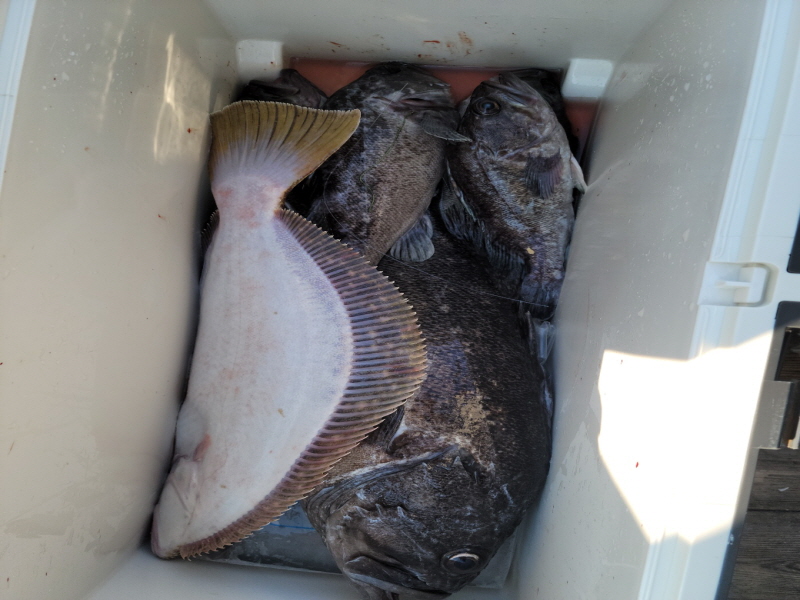 레인져호 조황갤러리입니다.