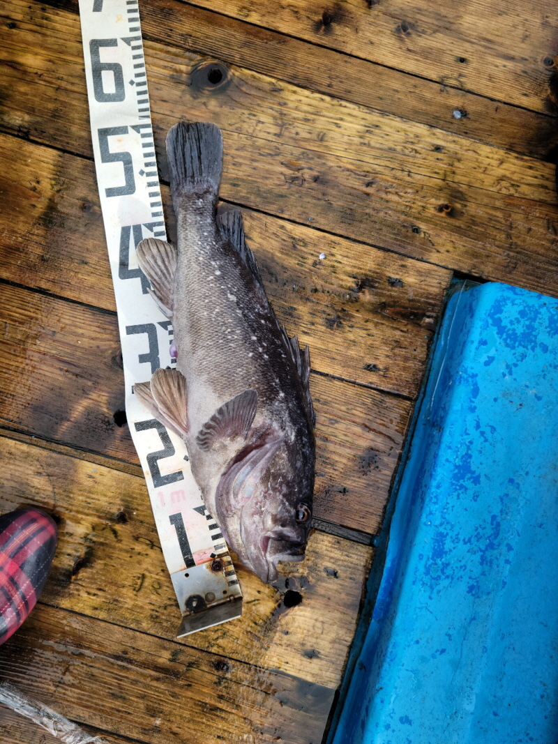 레인져호 조황갤러리입니다.