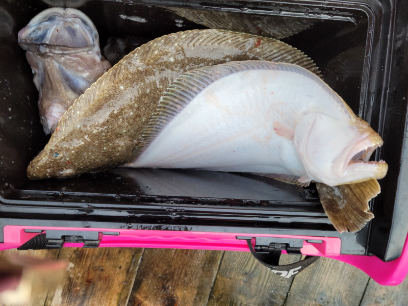 레인져호 조황갤러리입니다.