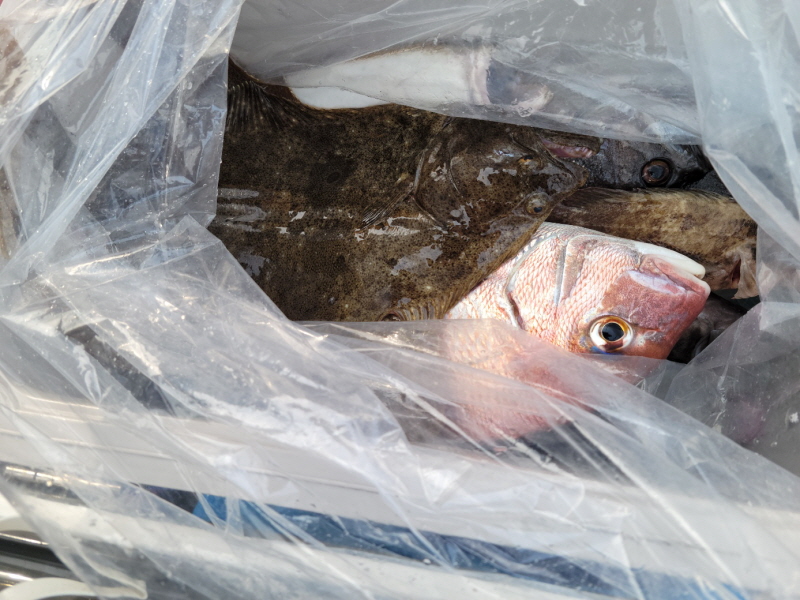 레인져호 조황갤러리입니다.