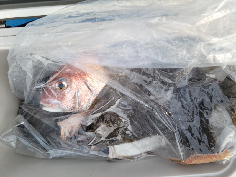 레인져호 조황갤러리입니다.