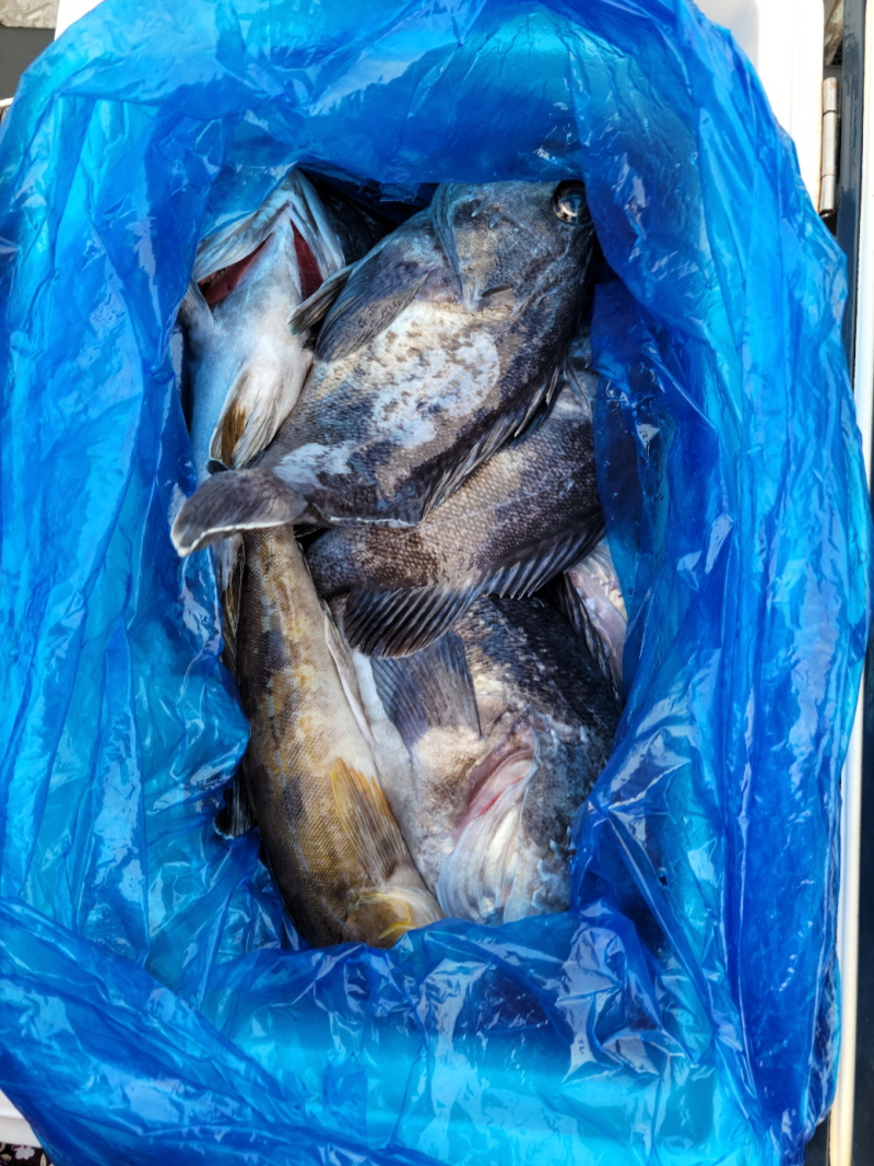 레인져호 조황갤러리입니다.