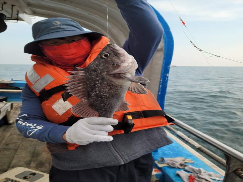 레인져호 조황갤러리입니다.
