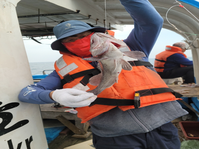 레인져호 조황갤러리입니다.