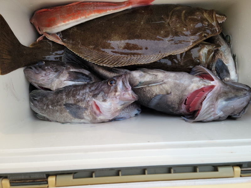 레인져호 조황갤러리입니다.