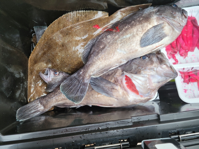 레인져호 조황갤러리입니다.