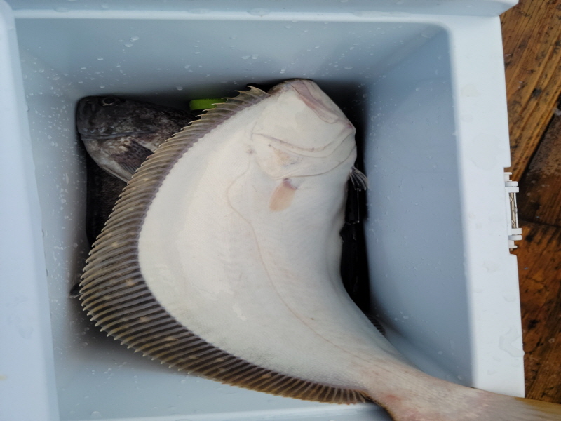 레인져호 조황갤러리입니다.