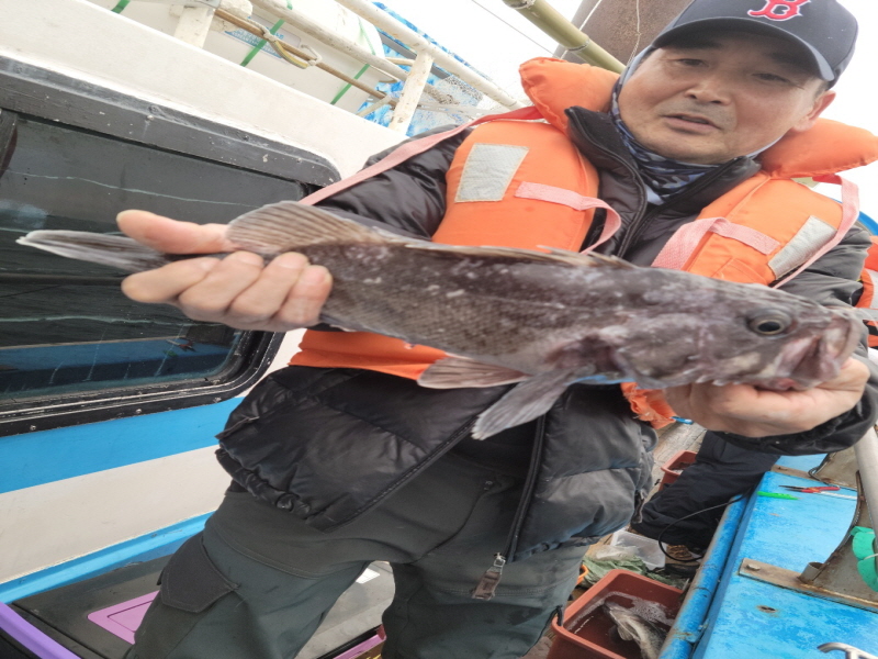 레인져호 조황갤러리입니다.