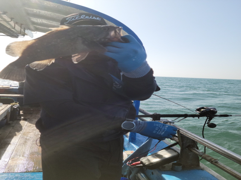 레인져호 조황갤러리입니다.