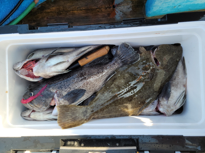 레인져호 조황갤러리입니다.