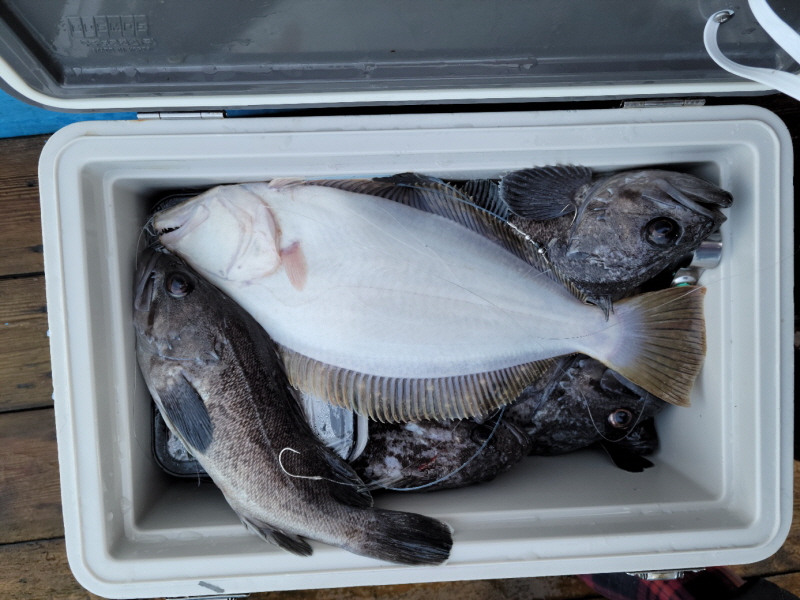 레인져호 조황갤러리입니다.