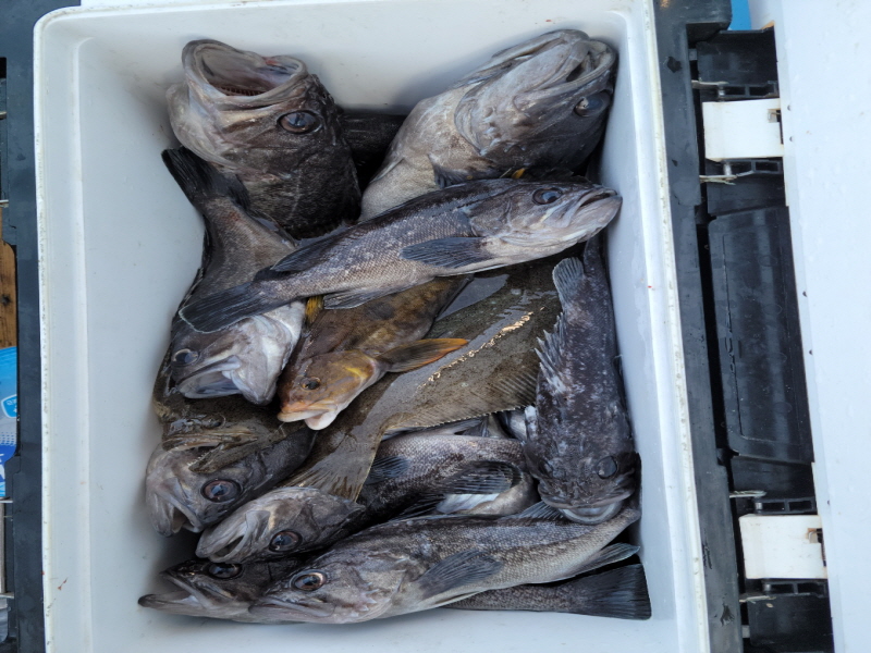 레인져호 조황갤러리입니다.