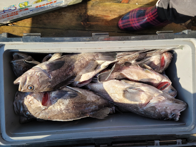 레인져호 조황갤러리입니다.